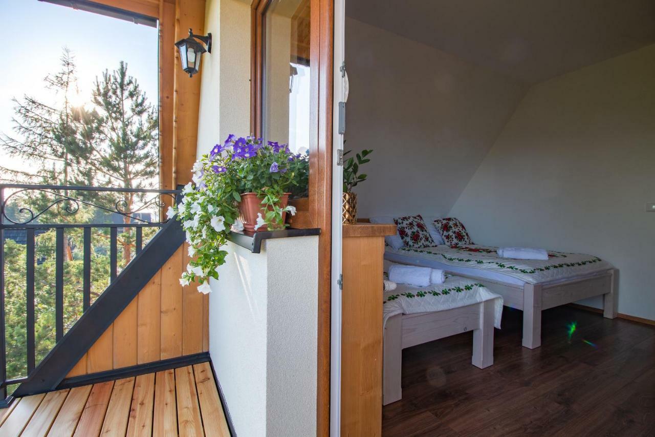 Gliczarowka Apartment Екстериор снимка